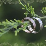 Прогноз на неделю 9 — 15 февраля - стаття від експертів Vedic, фото 2