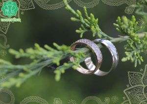 008 Джйотиш-интенсив «Личная жизнь. Дети и родители» - купити онлайн в магазині Vedic, фото 2