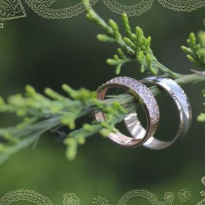 008 Джйотиш-интенсив «Личная жизнь. Дети и родители» - купити онлайн в магазині Vedic, фото 2