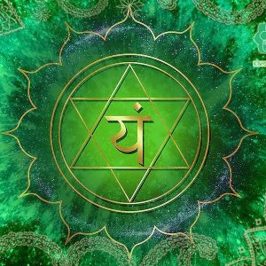 038 Майстер-клас «АХІМСА – ВИЩИЙ ПРОЯВ МАРСУ» - купити онлайн в магазині Vedic, фото 8