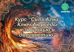 039 Курс «Сила Агни: Ключ Аюрведы к здоровью и долголетию» - купити онлайн в магазині Vedic, фото 2