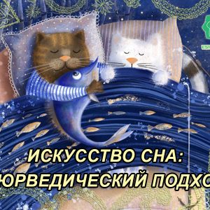 049 Курс «Мистецтво сну: аюрведичний підхід» - купити онлайн в магазині Vedic, фото 14