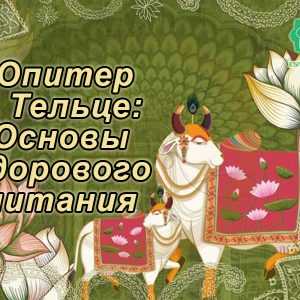 088 Майстер-клас «Юпітер у Тельці: Основи здорового харчування» - купити онлайн в магазині Vedic, фото 13